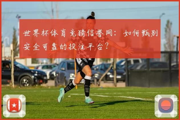 世界杯体育竞猜信誉网：如何甄别安全可靠的投注平台？