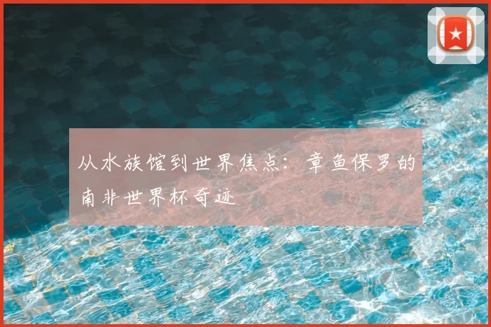 从水族馆到世界焦点：章鱼保罗的南非世界杯奇迹