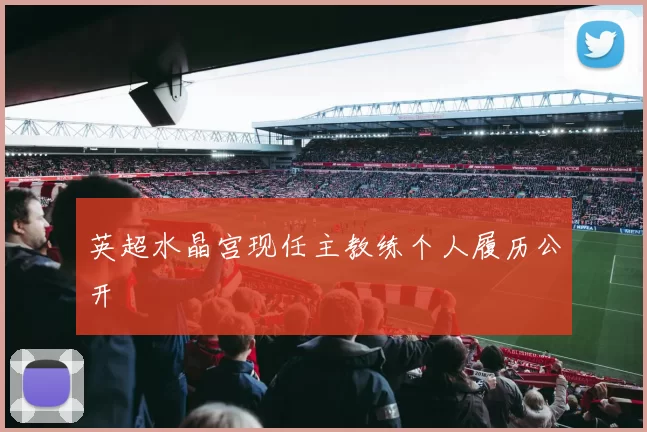 英超水晶宫现任主教练个人履历公开