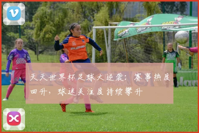 天天世界杯足球大逆袭：赛事热度回升，球迷关注度持续攀升