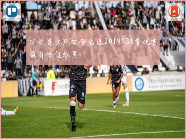 字母哥力压哈登当选2019NBA常规赛最有价值球员