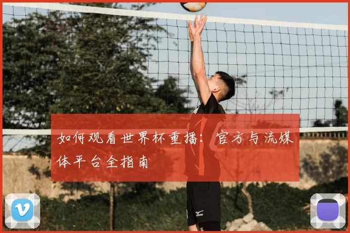 如何观看世界杯重播:官方与流媒体平台全指南