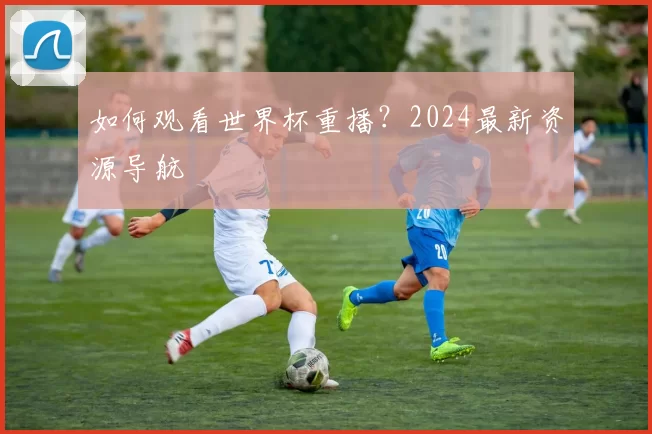 如何观看世界杯重播?2024最新资源导航