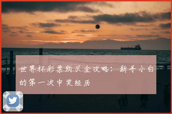 世界杯彩票购买全攻略:新手小白的第一次中奖经历